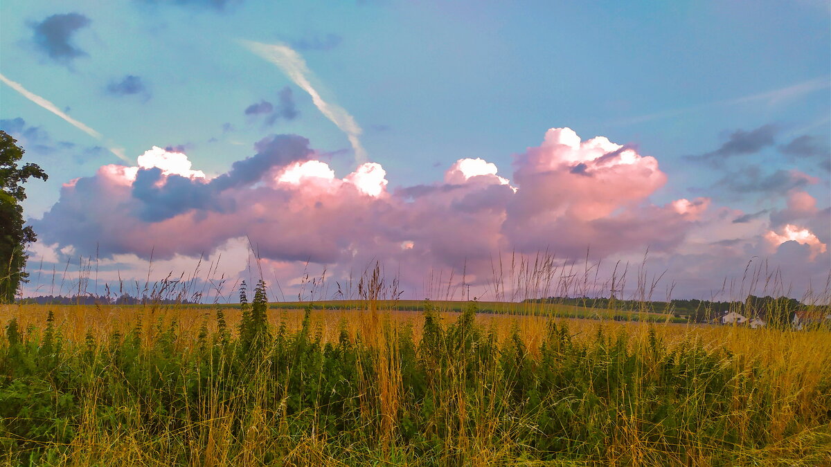 -- - vladimir -- - vladimir