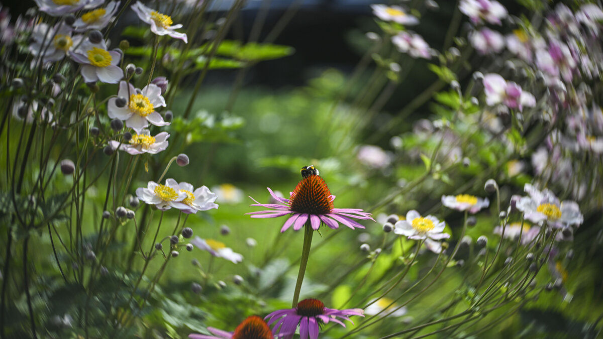 * - Осень * - Осень