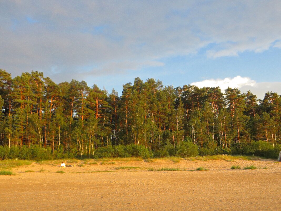 море.дюны. - марта Камушкина