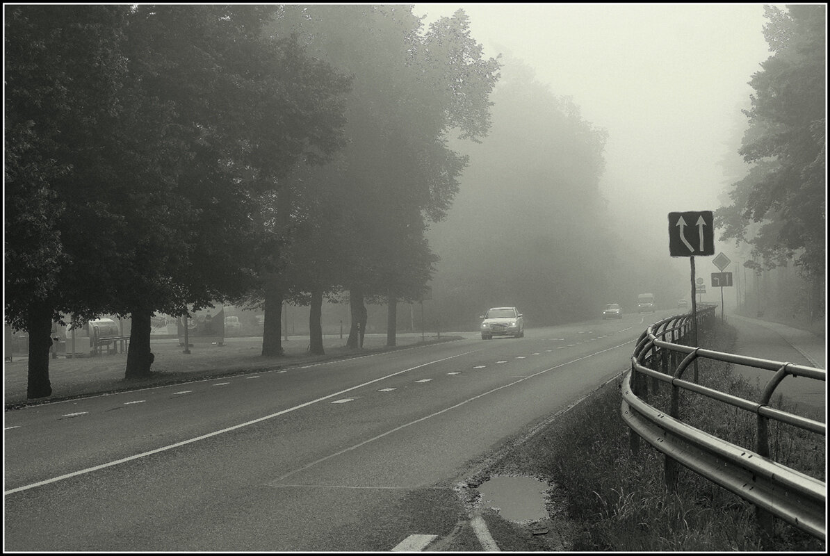 Туман на дороге.. - Aleksandr Gal