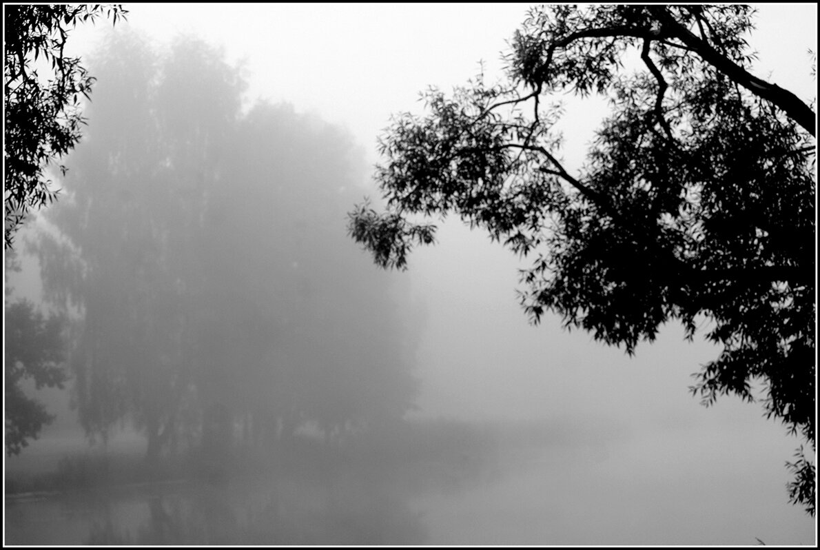 Туман на озере - Aleksandr Gal Туман на озере - Aleksandr Gal