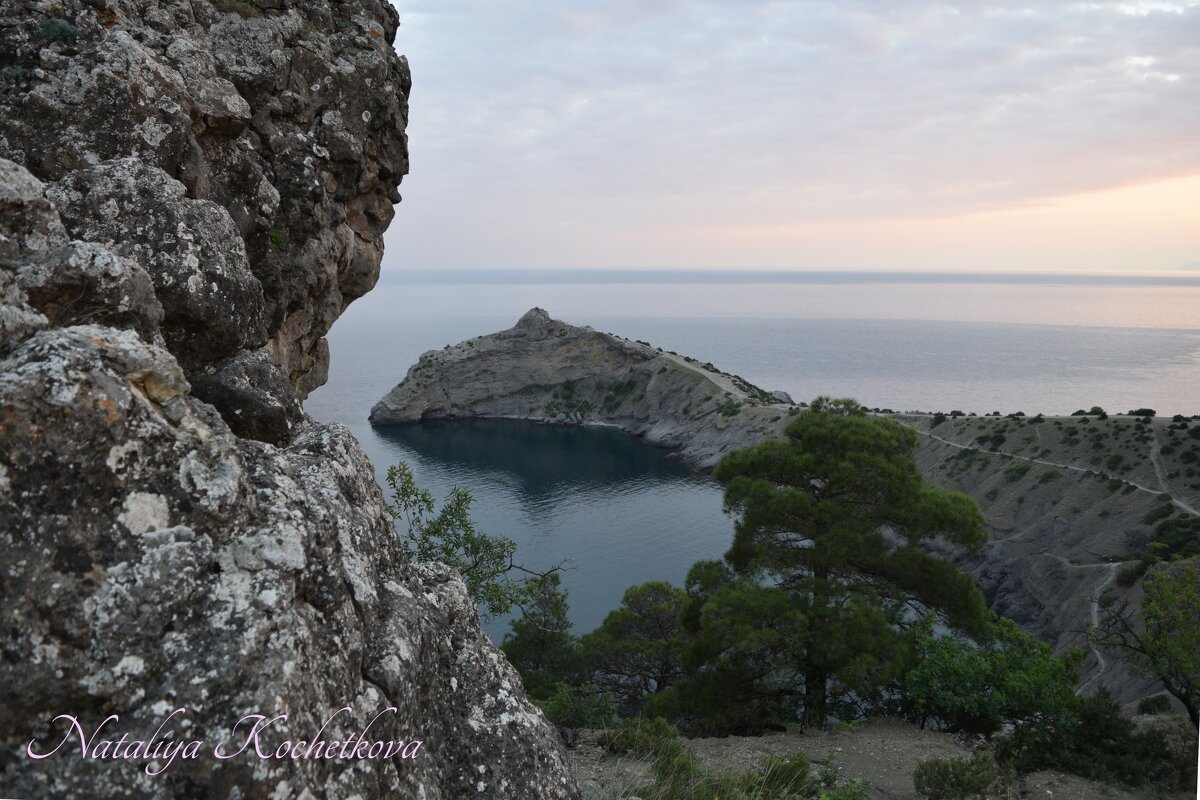 Природа Крыма - Amazing Cosmea
