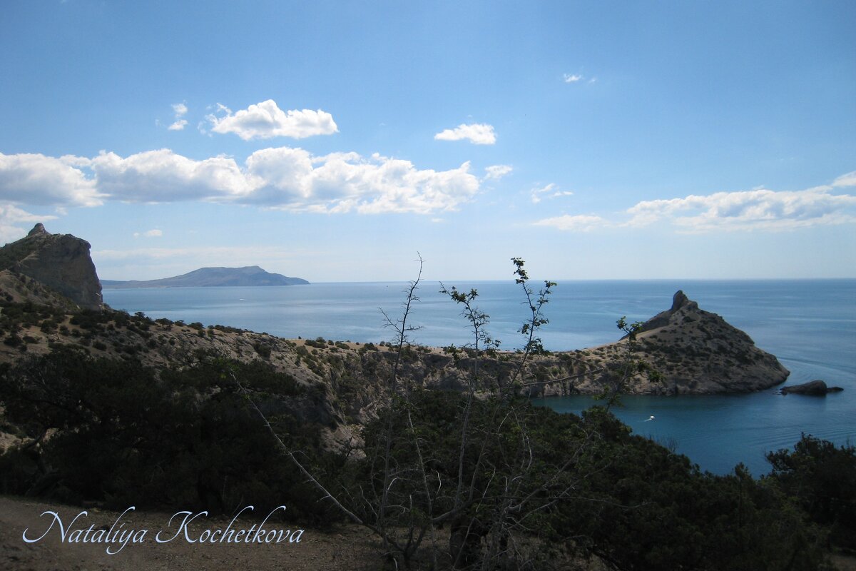 Природа Крыма - Amazing Cosmea