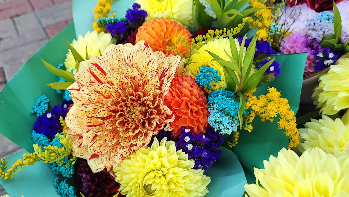 ,,, - Сергей Тимоновский