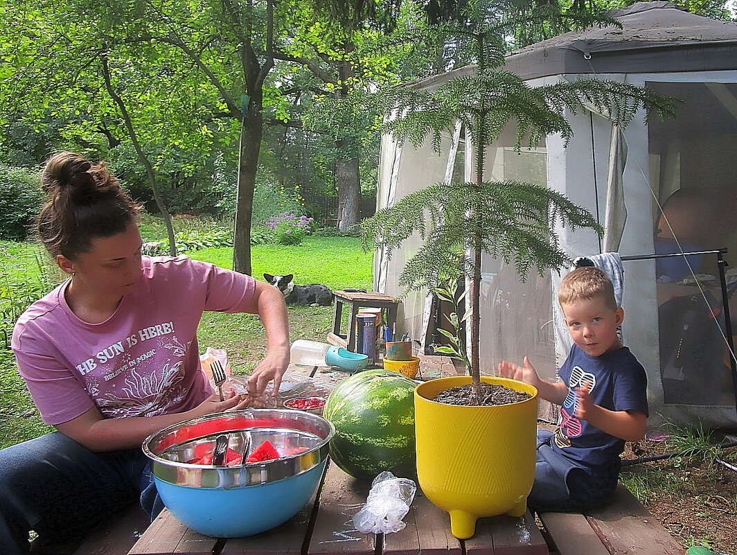 Дачные будни. - Ольга Довженко Дачные будни. - Ольга Довженко