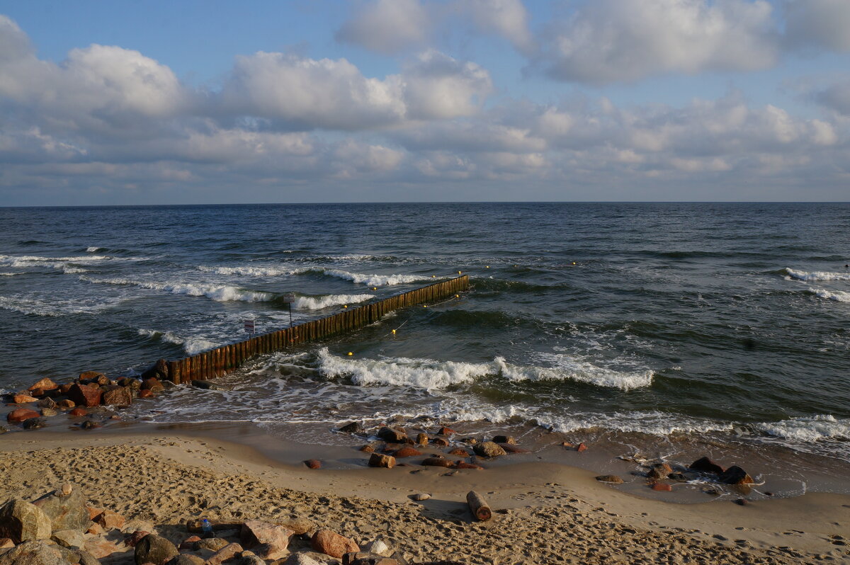 ~~ - Алёна Савина
