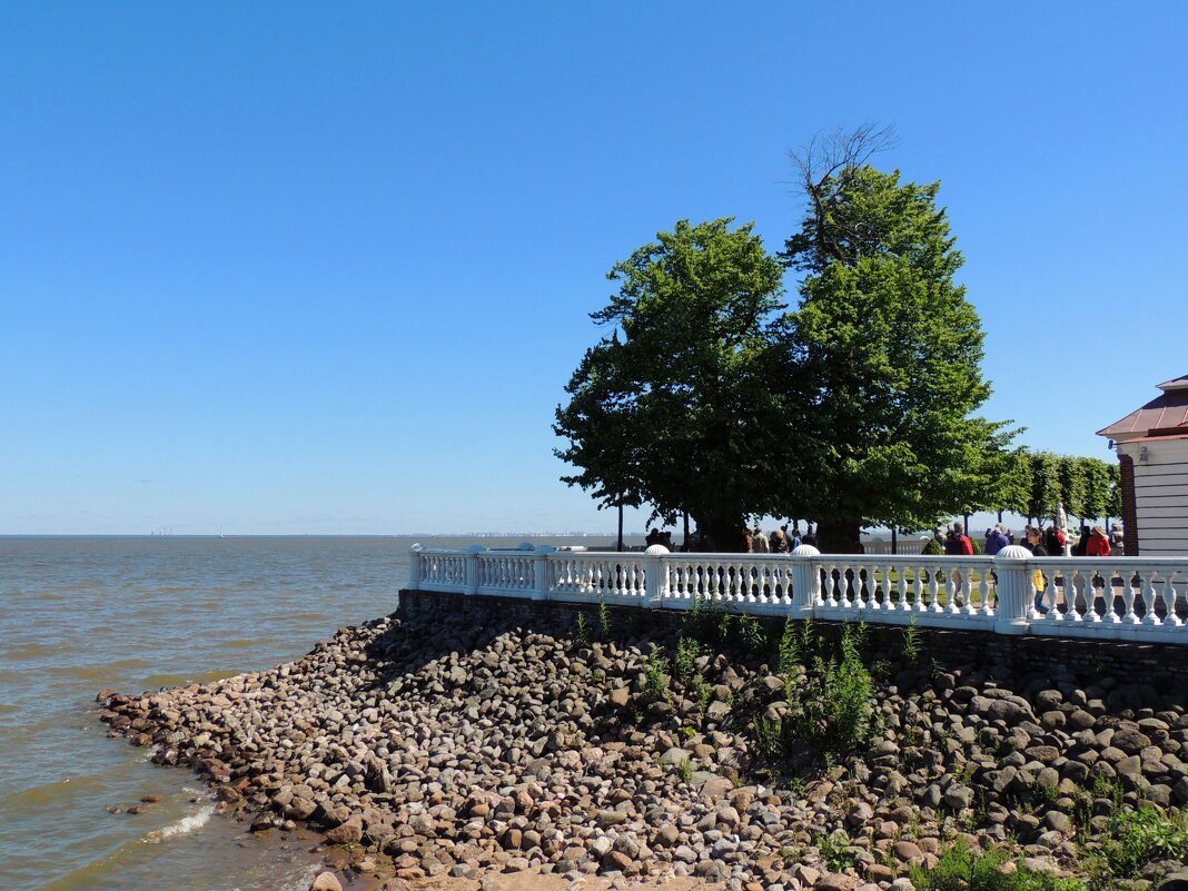 Петергоф. Набережная Финского залива - Андрей Л. В.