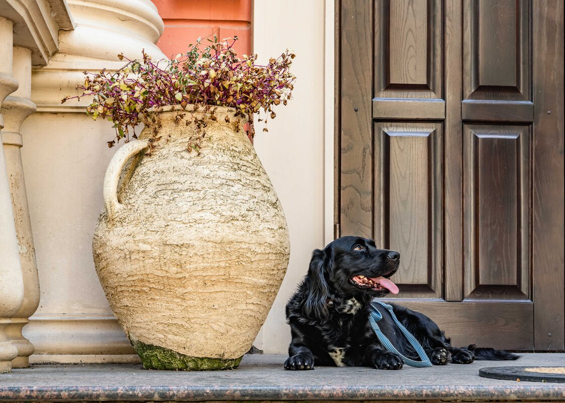 Барин - Константин Бобинский