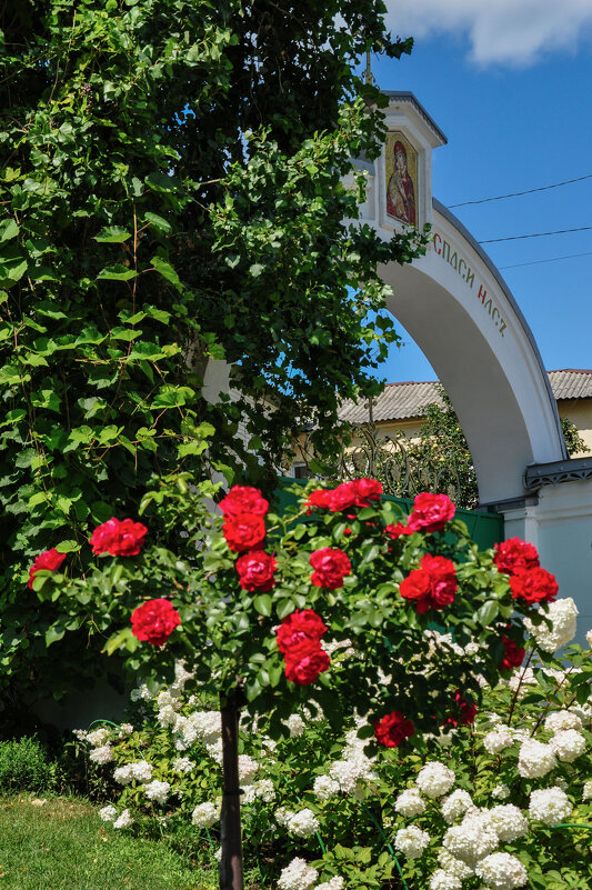 Лето в Акатовом монастыре - Татьяна Машошина Лето в Акатовом монастыре - Татьяна Машошина
