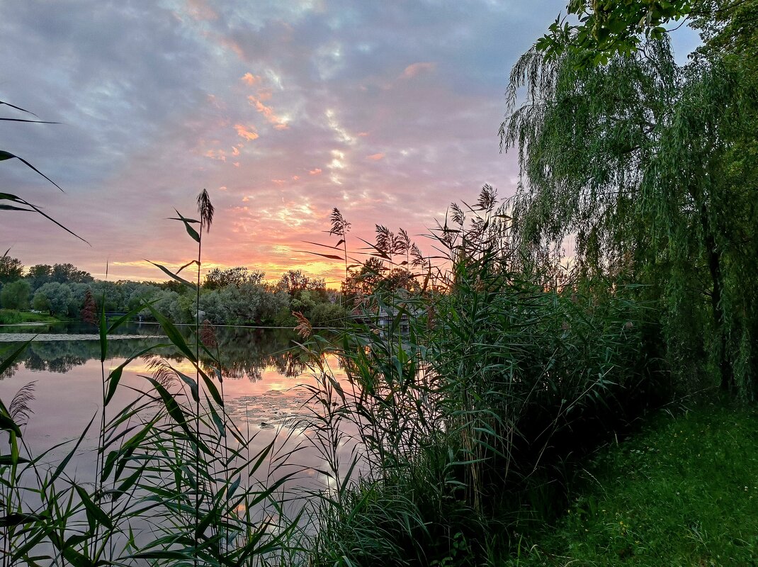 На закате... - Мария Васильева