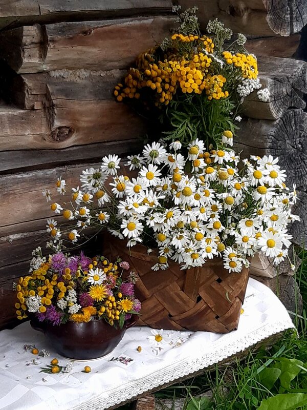 Деревенский натюрморт! - Нина Андронова