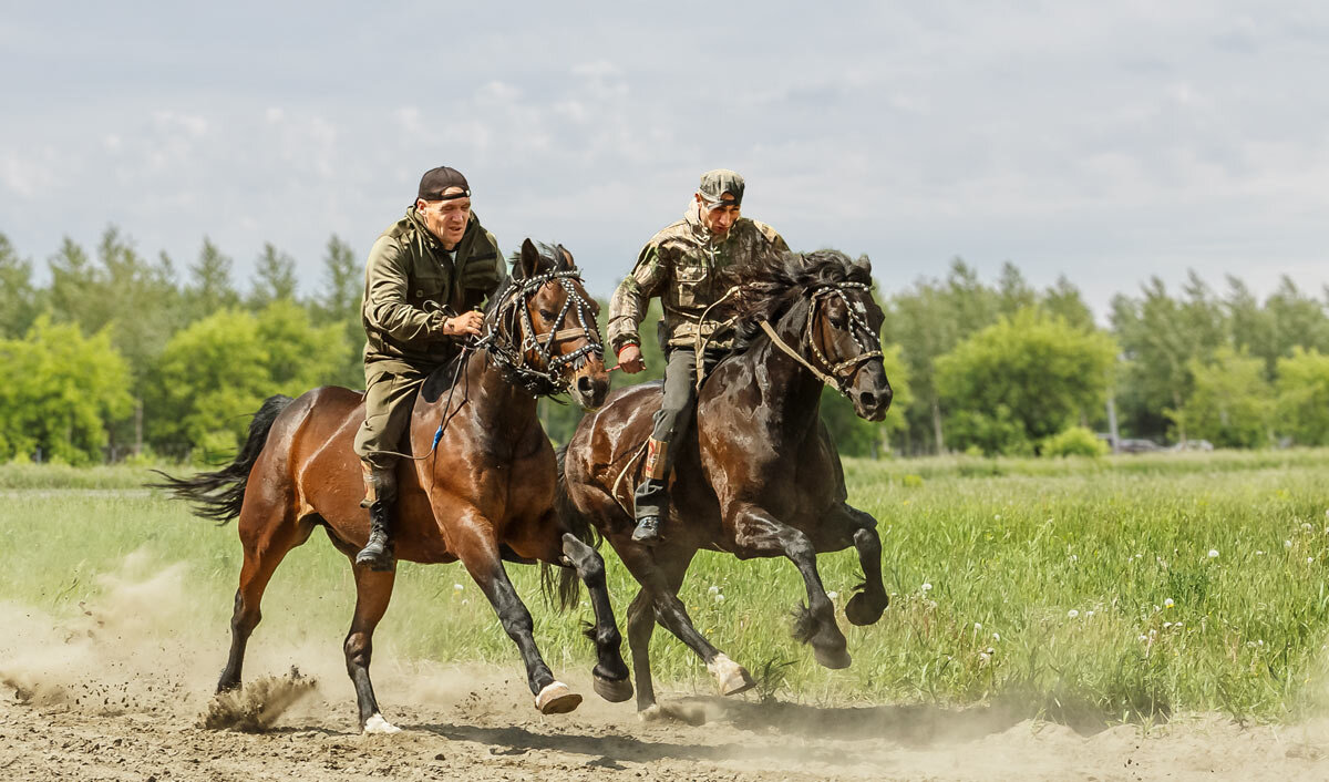 Скачки без сёдел на рабочих лошадях - SanSan 