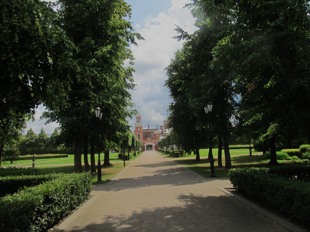 Рамонь - Елена Шаламова