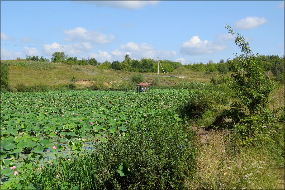 * * * - Сеня Белгородский