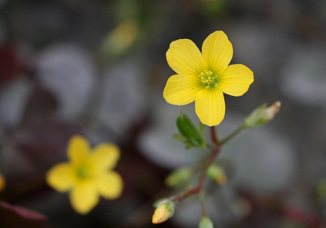 ..... - Андрей Катков