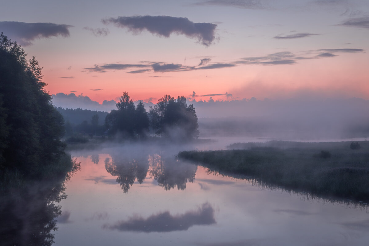 **** - Елизавета . **** - Елизавета .