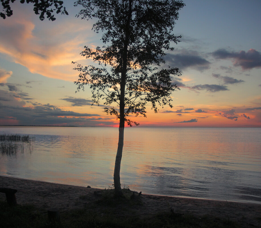 *** - Сергей Григорьев