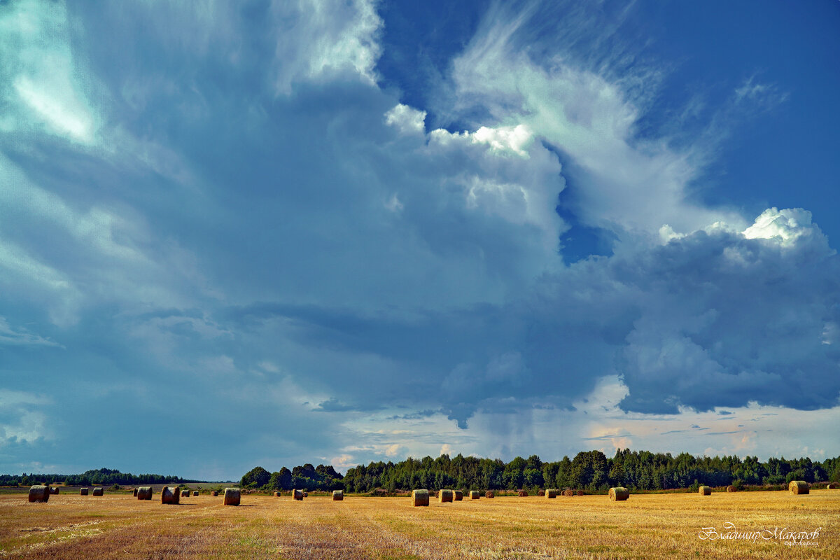 "Август, поле, жатва, снопы"© - Владимир Макаров