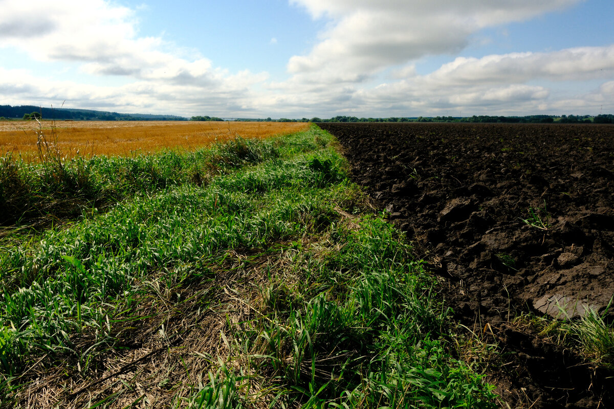 Земли плодородные - Dar(k) Life Земли плодородные - Dar(k) Life