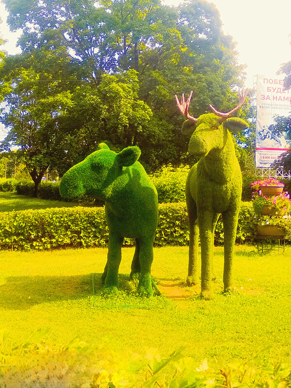 Лоси - Сергей Кочнев