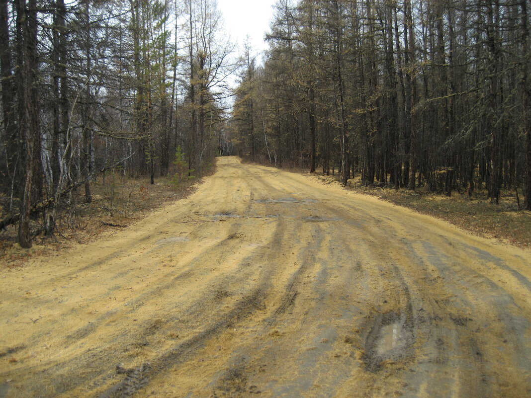 Осенняя дорога - Anna Ivanova