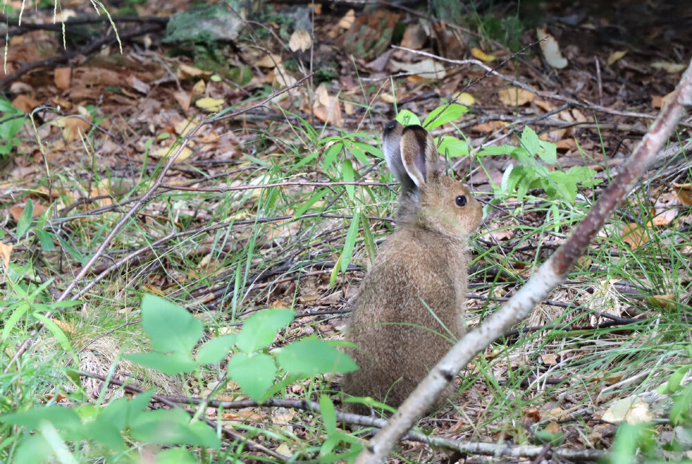 Малыш - Галина Ильясова