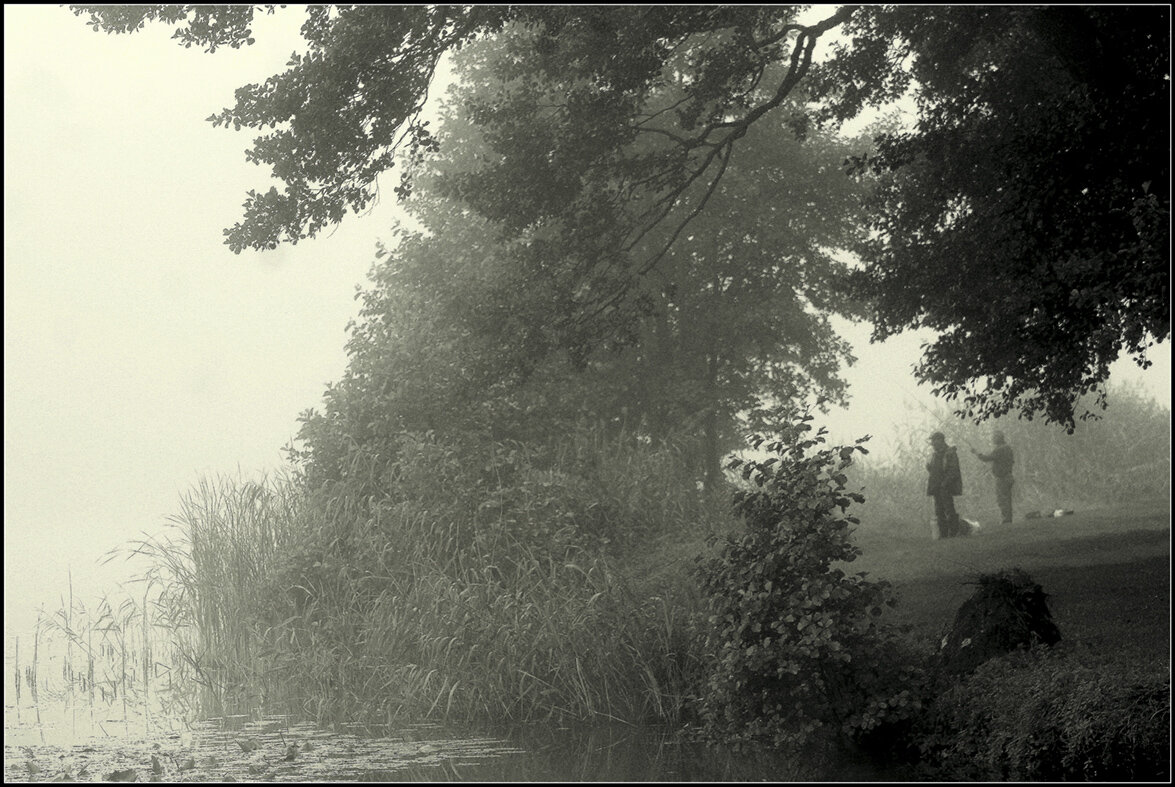 Утро - Aleksandr Gal