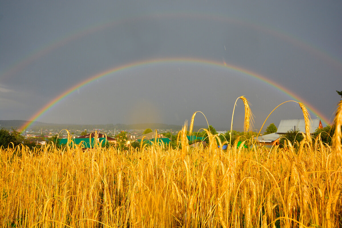 радуга после грозы - леонид логинов радуга после грозы - леонид логинов