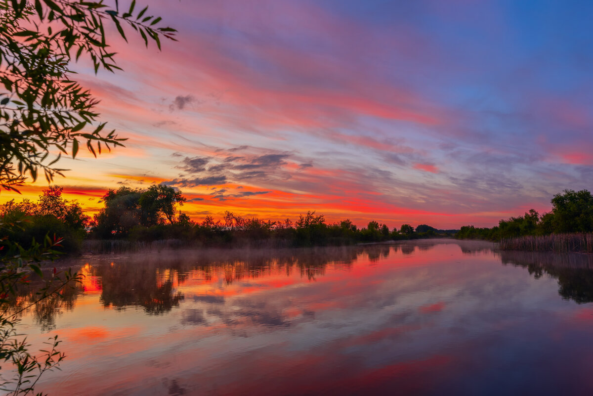 ***** - Виталий Емельянов