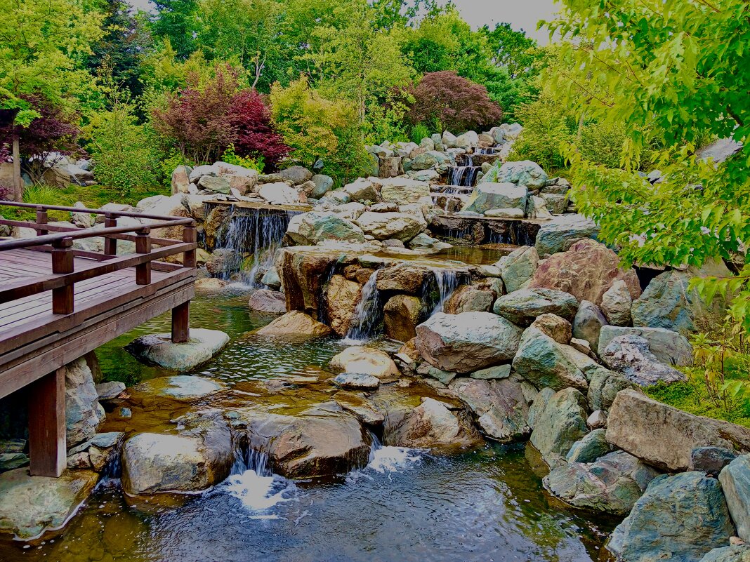 Японский сад - Вадим Niko