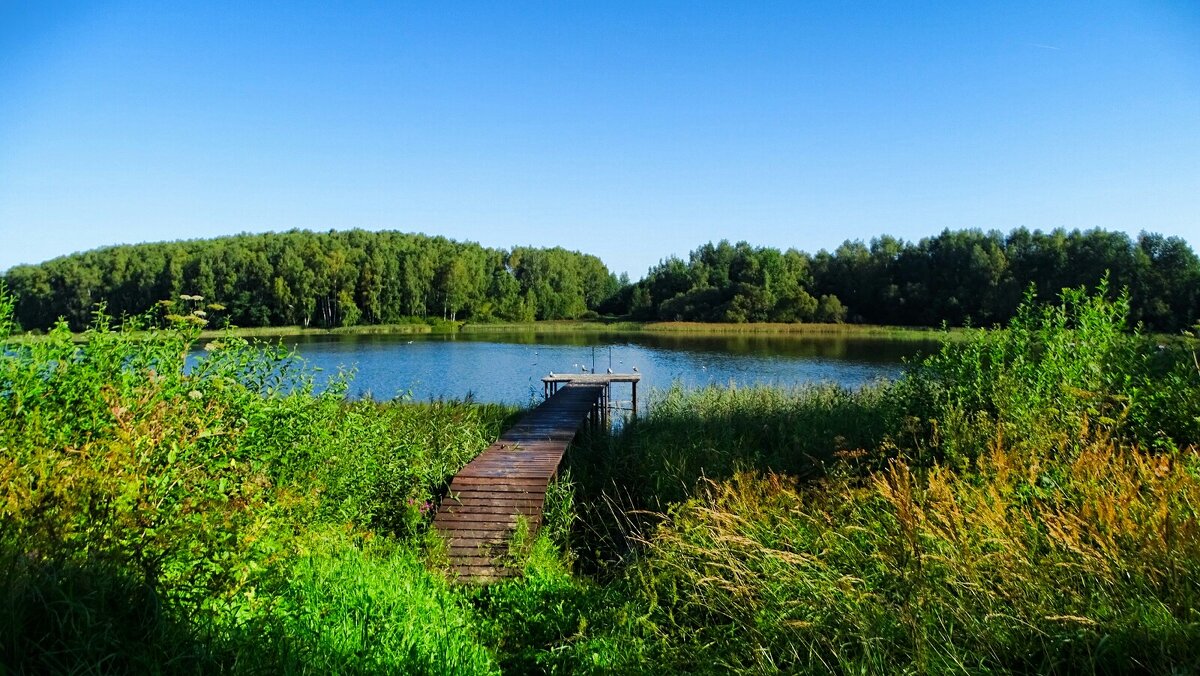 Мостки для рыбалки и ныряния. - Милешкин Владимир Алексеевич Мостки для рыбалки и ныряния. - Милешкин Владимир Алексеевич
