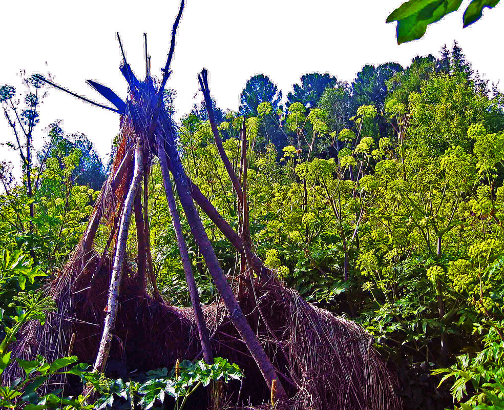 Июль...Старый стожок! - Владимир 