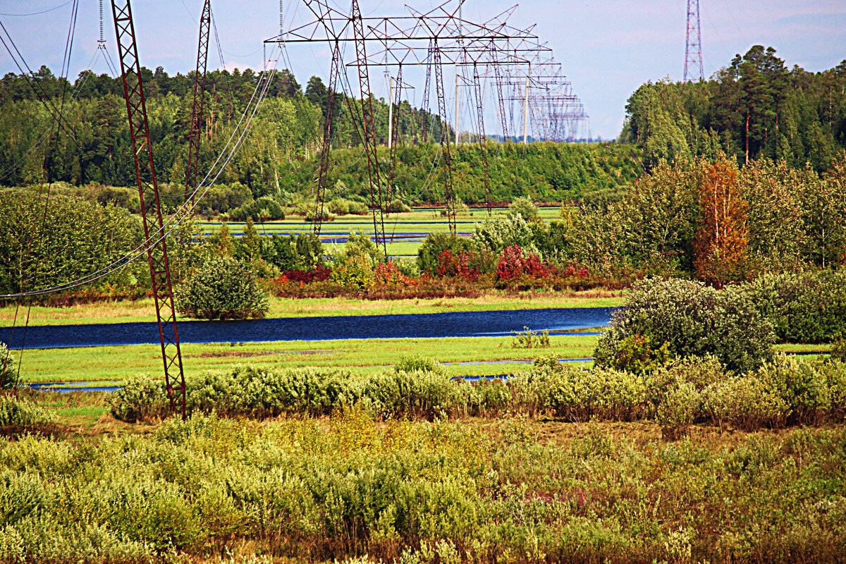 Июль...Стройный лес электромачт в пойме Сырого Агана! - Владимир 