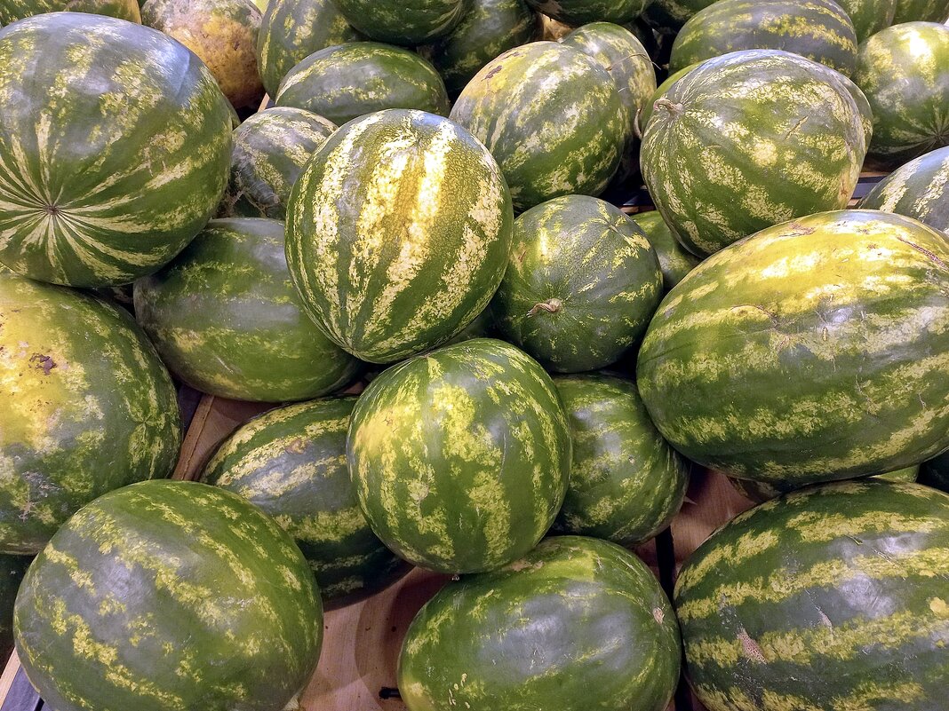 Август - Валерий Иванович