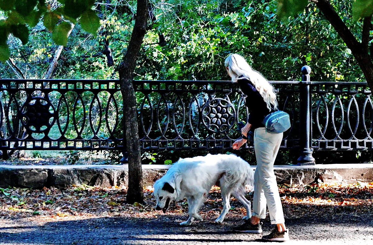 Пойдём домой... - Николай Саржанов