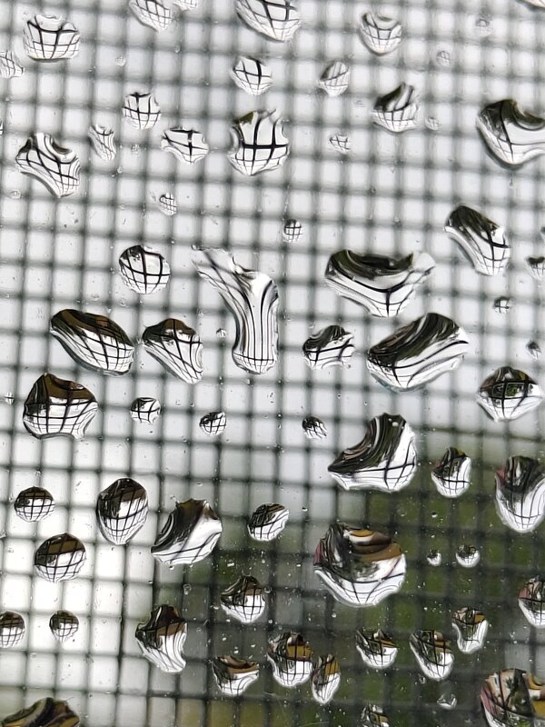 Сегодня дождь - Андрей 