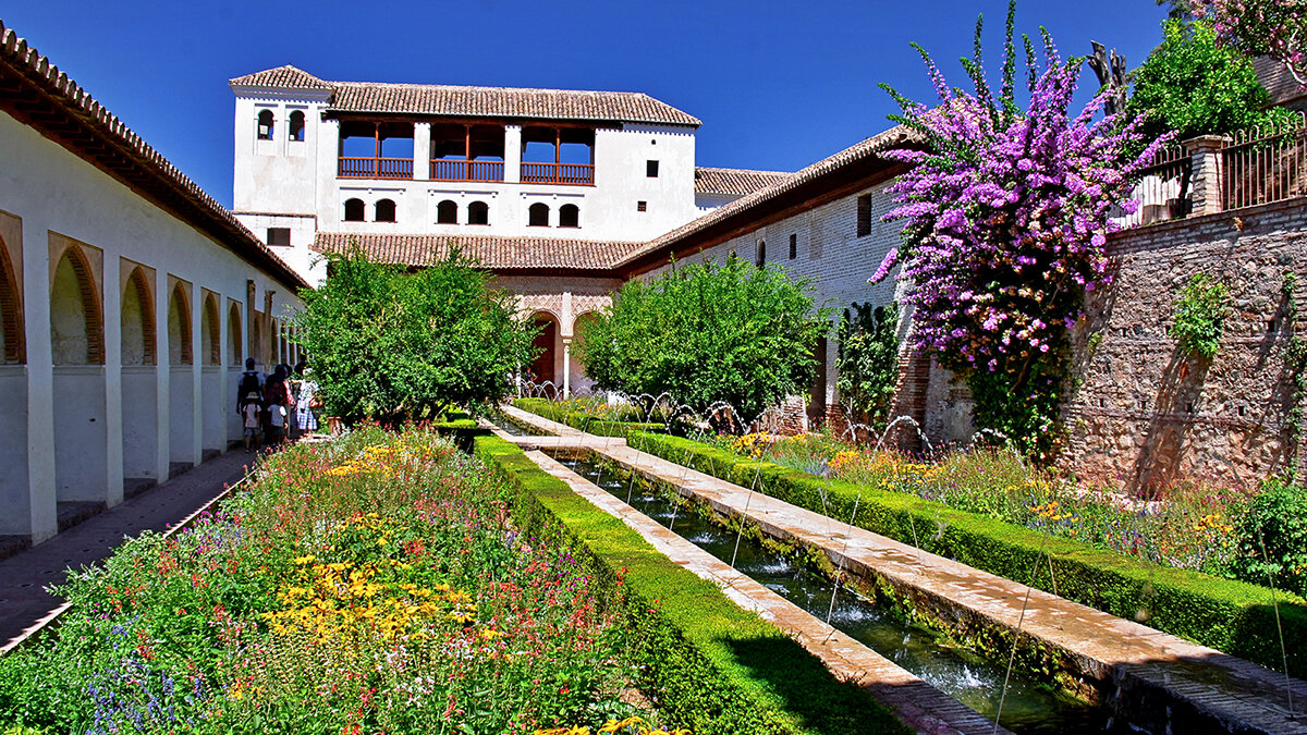 Дворцовый двор - Alexandеr P