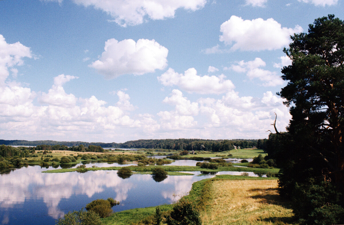 Вид на реку Сороть в окрестностях Михайловского - Олег Зоркий Вид на реку Сороть в окрестностях Михайловского - Олег Зоркий