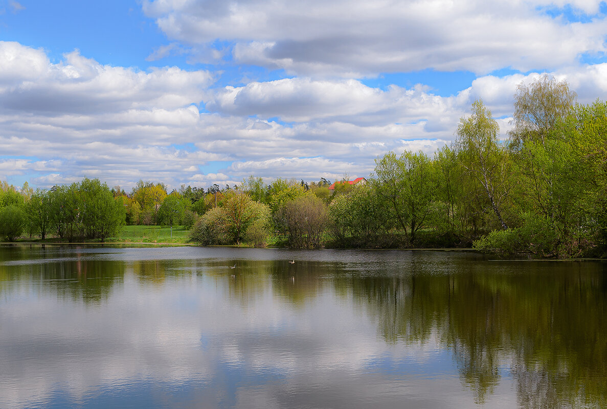 У озера - Серый 