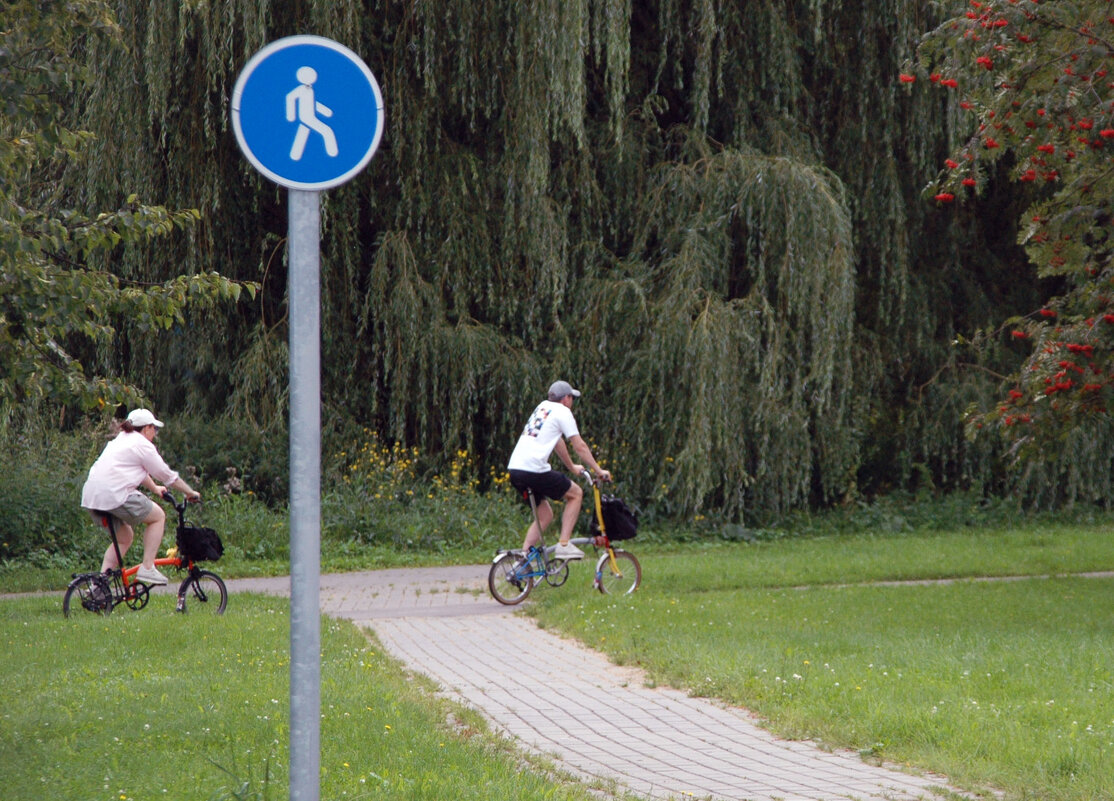 На прогулке. - Борис Бутцев