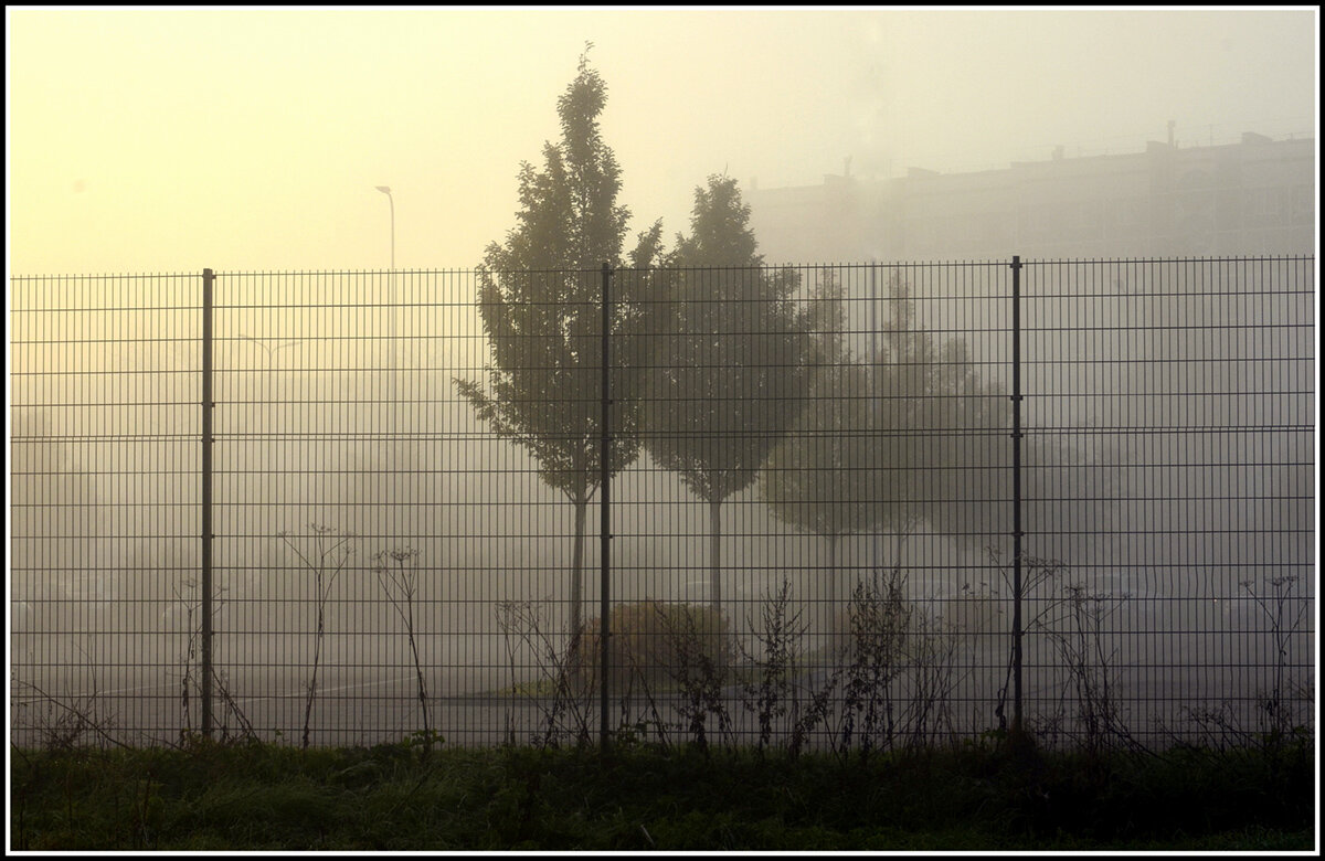 Светает - Aleksandr Gal