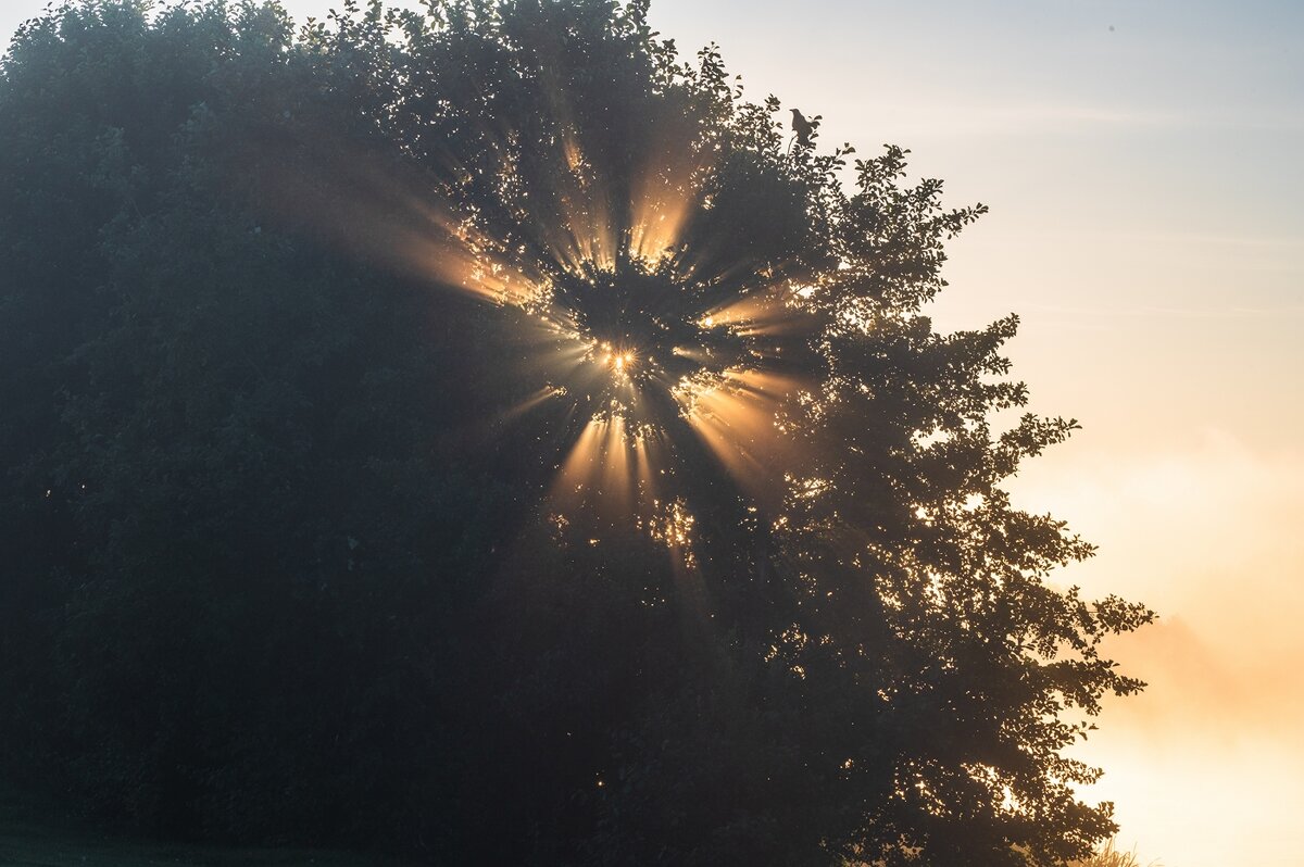 Первые лучики солнца. - Виктор Евстратов