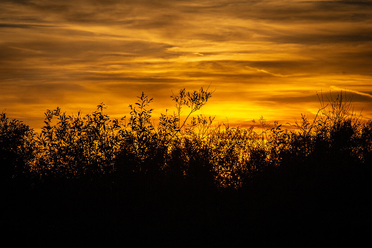 Закат на Мологе - Николай Дергачев