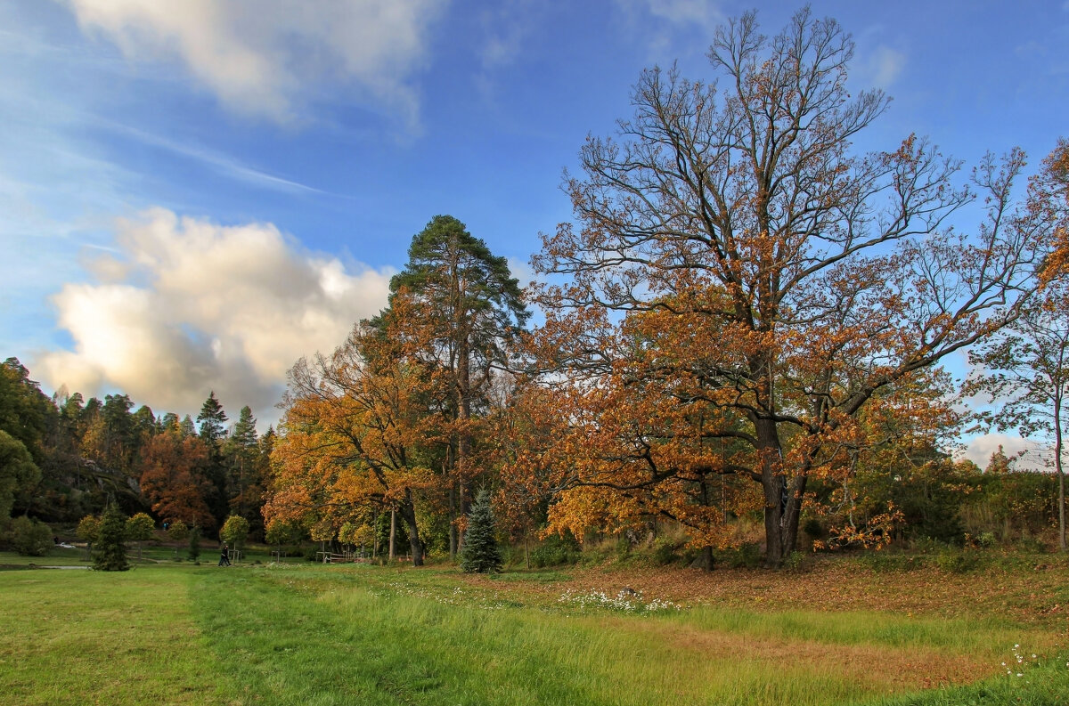 Краски осени - skijumper Иванов