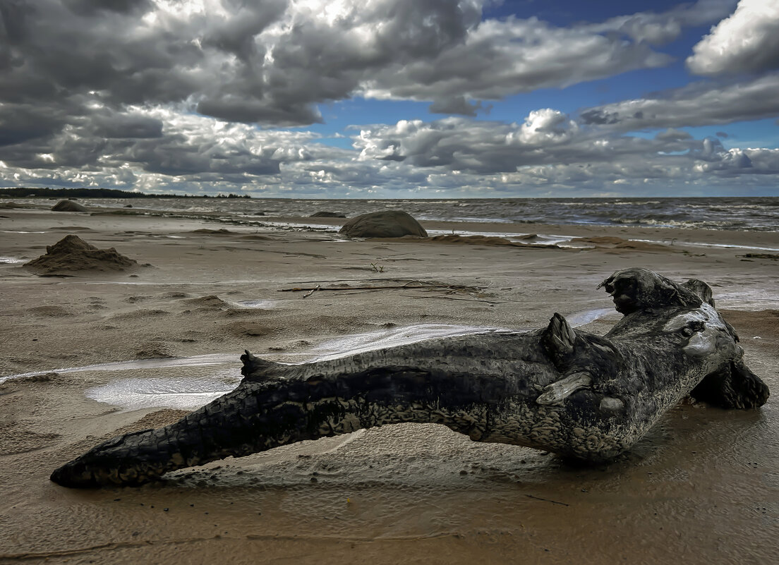 Берег БАЛТИКИ - Дмитрий Иванов