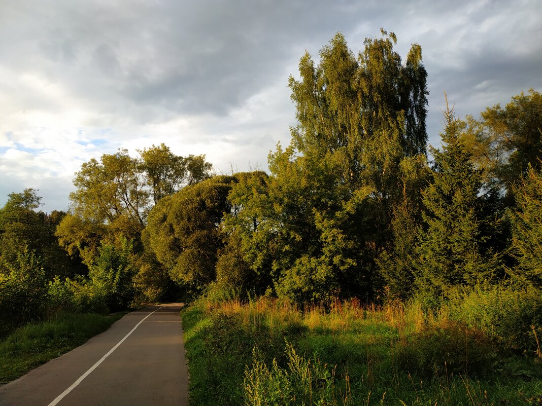 * * * - Андрей Лукьянов