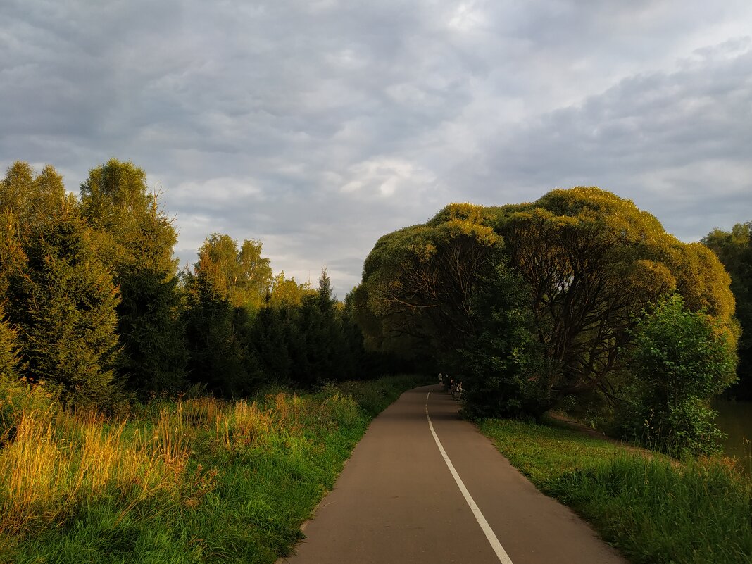 * * * - Андрей Лукьянов