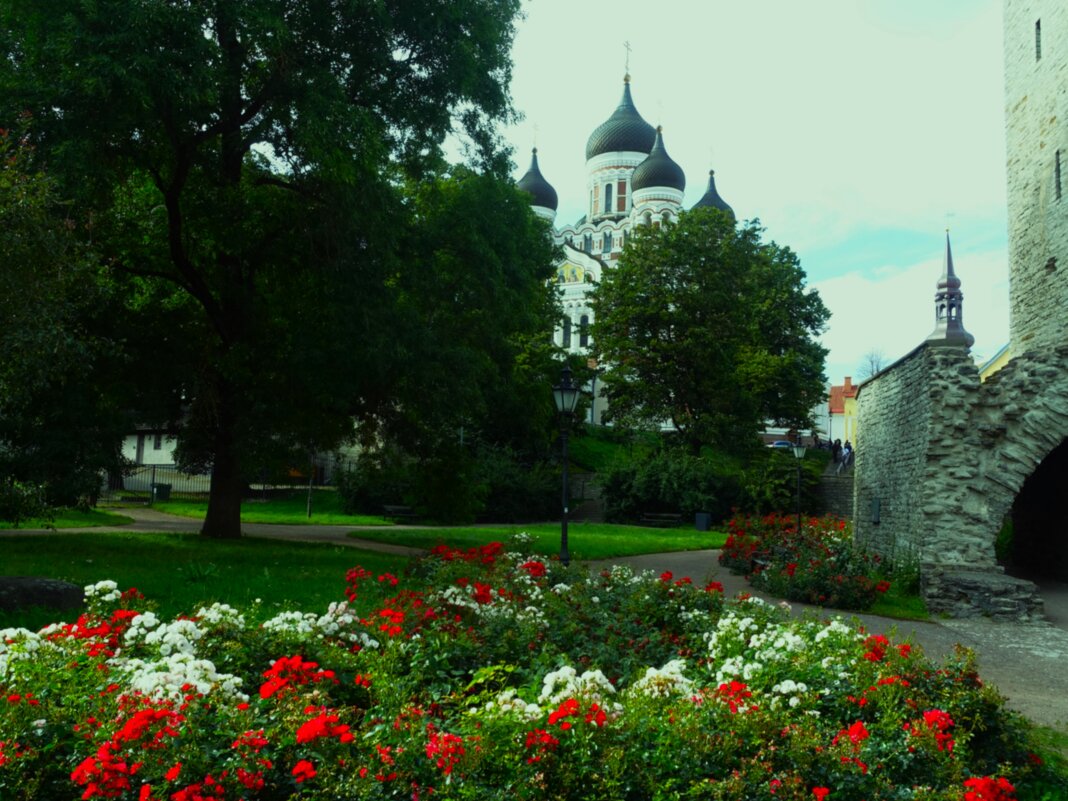 В Комендантском саду на Тоомпеа - Aida10 