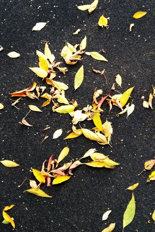 Рисунки осени - Натали 