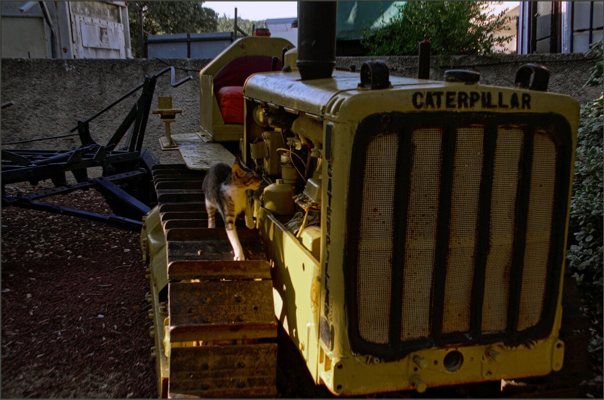 ПРИШЕЛ ГЛАВНЫЙ МЕХАНИК - ujgcvbif 